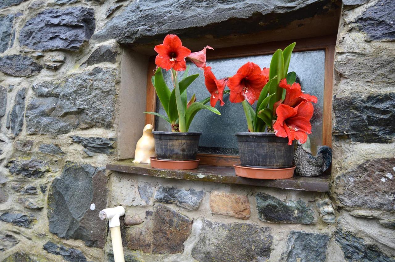 Beudy Bach And Beudy Mawr Mountainstudios Bangor  Exterior photo